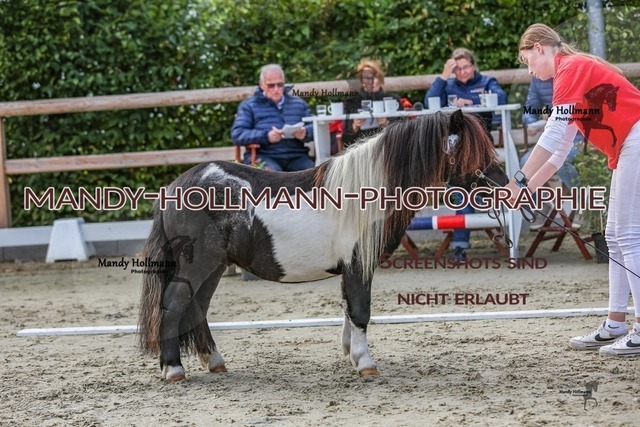 4-13 | mandyhollmannphotographie