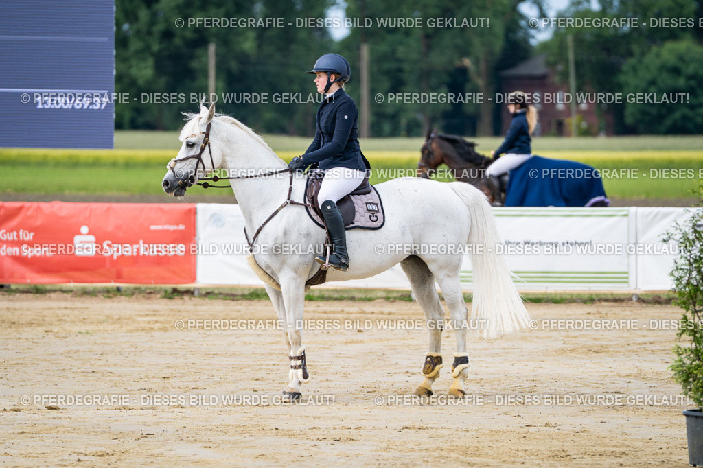 DSC03303 | Pferdegrafie