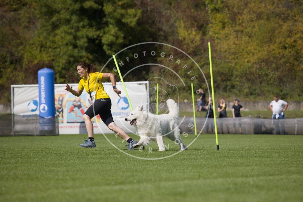 0L8A2987 | Hundefotografie, Tierfotograf, Pfotenfotografie, Fotoshooting Hund, Hunde Portrait, Hundesport, Hundeportraits, Heideshooting, Hunde, Sportfotograf, Hundefotograf, Turnierhundsport, THS,  - Realisiert mit Pictrs.com