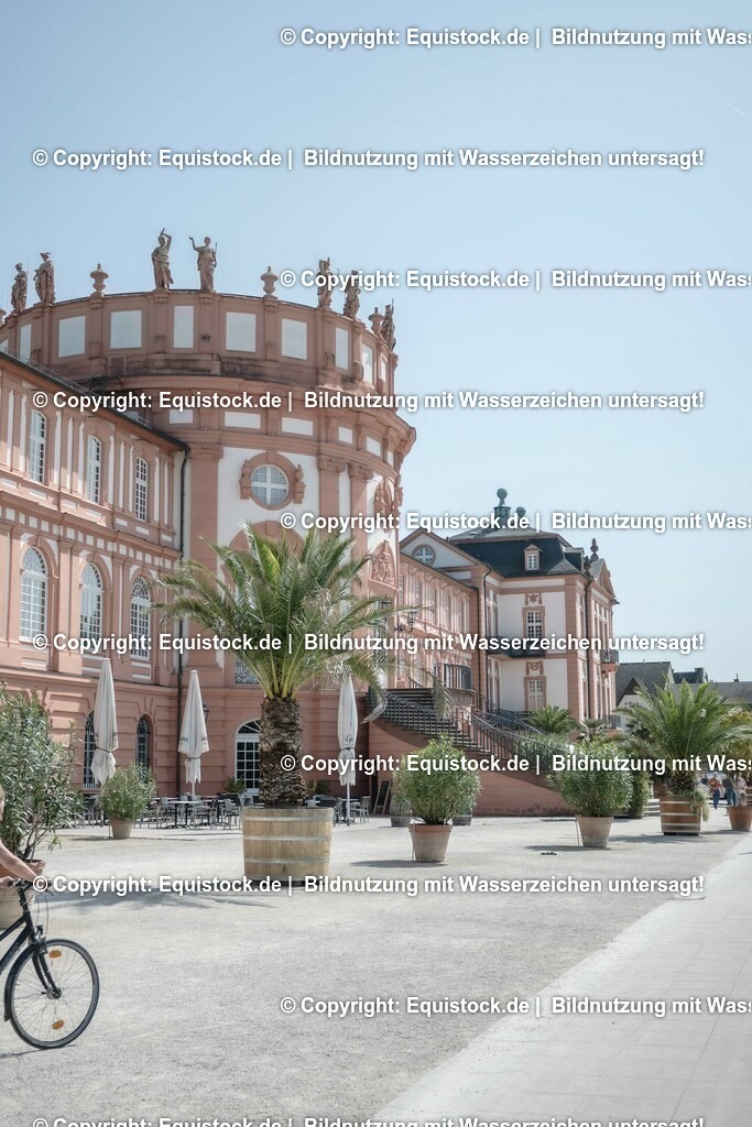 ZFC_3957 | equistock