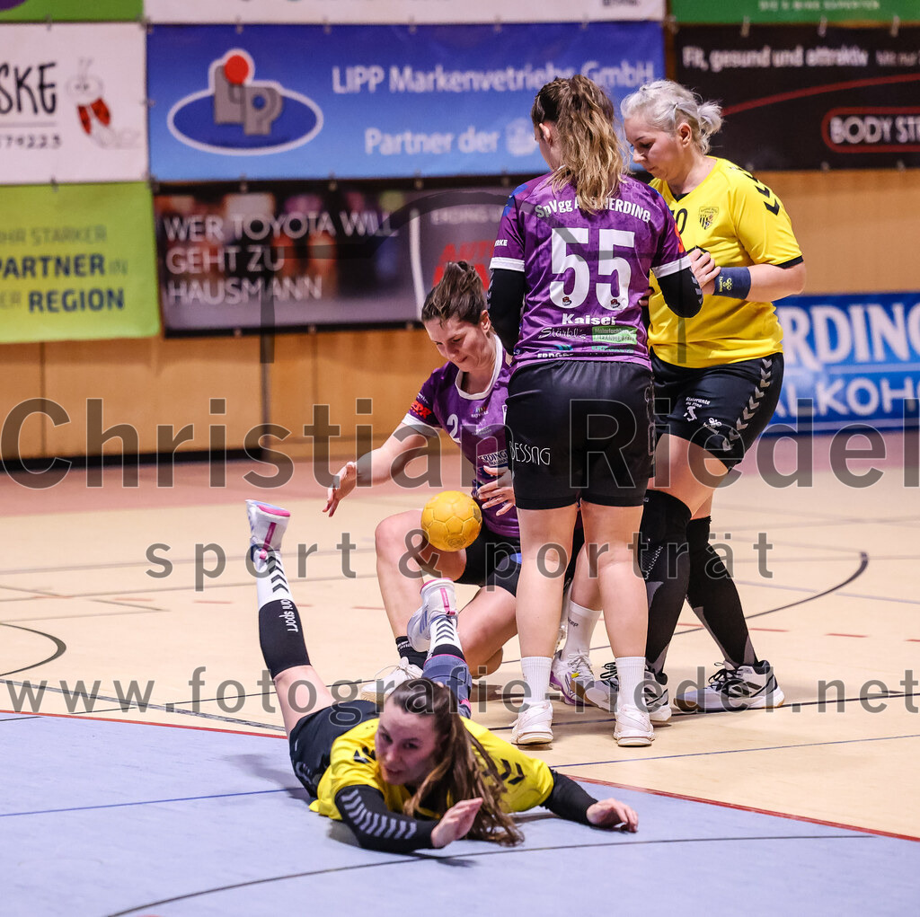 2025-01-11_061_SpVgg_Altenerding_gegen_HF_Scheyern | Erding, Deutschland, 11.01.2025:Handball, Bezirksoberliga Frauen Altbayern 2024 / 2024, 10. Spieltag, SpVgg Altenerding gegen HF Scheyern, Endergebnis: 20:23Verena Kirste (HF Scheyern, #35), Janina Konrad (SpVgg Altenerding, #2), Verena Kaiser (SpVgg Altenerding, #55), Amalia Moldovan (HF Scheyern, #30)Foto: Christian Riedel / fotografie-riedel.net