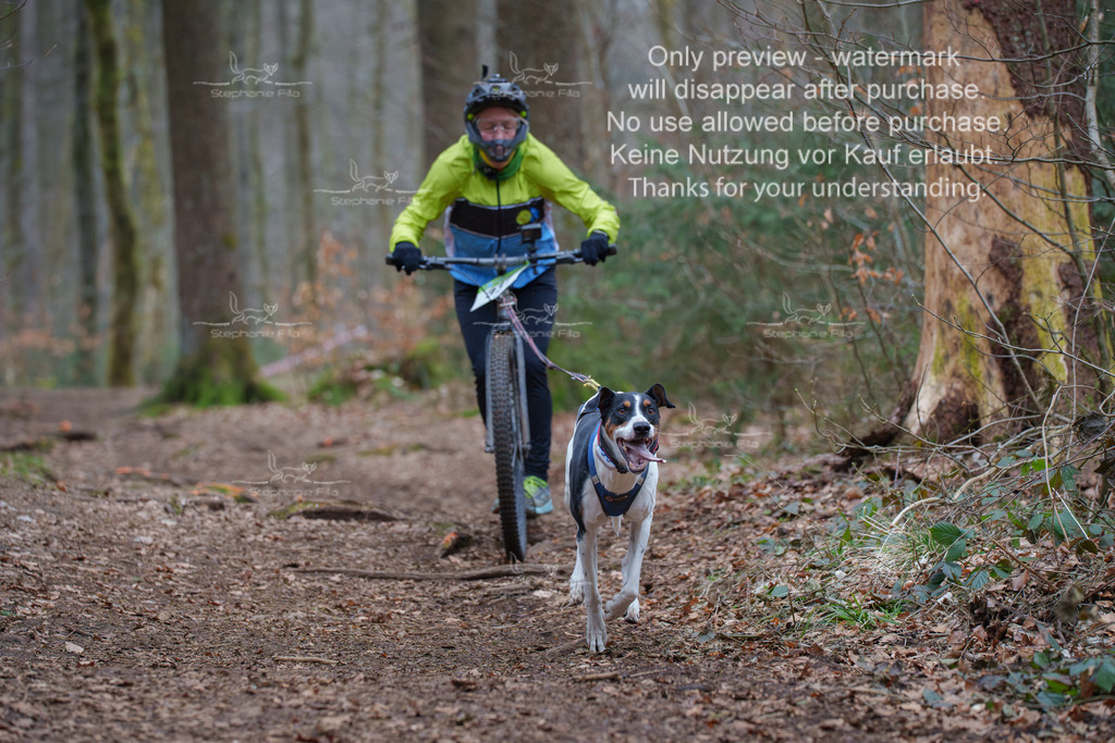 Scooter_So-107 | stephaniefillaphotographie - Realisiert mit Pictrs.com