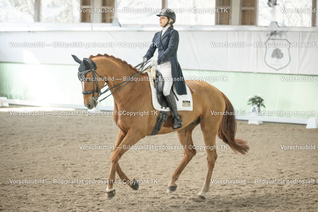 _D5A1460 | Emotionale Pferde- & People-Fotografie rund um Heidelberg, Leimen & Umgebung. Natürliche Fotos von Pferd, Mensch & Familie. Jetzt Termin sichern!