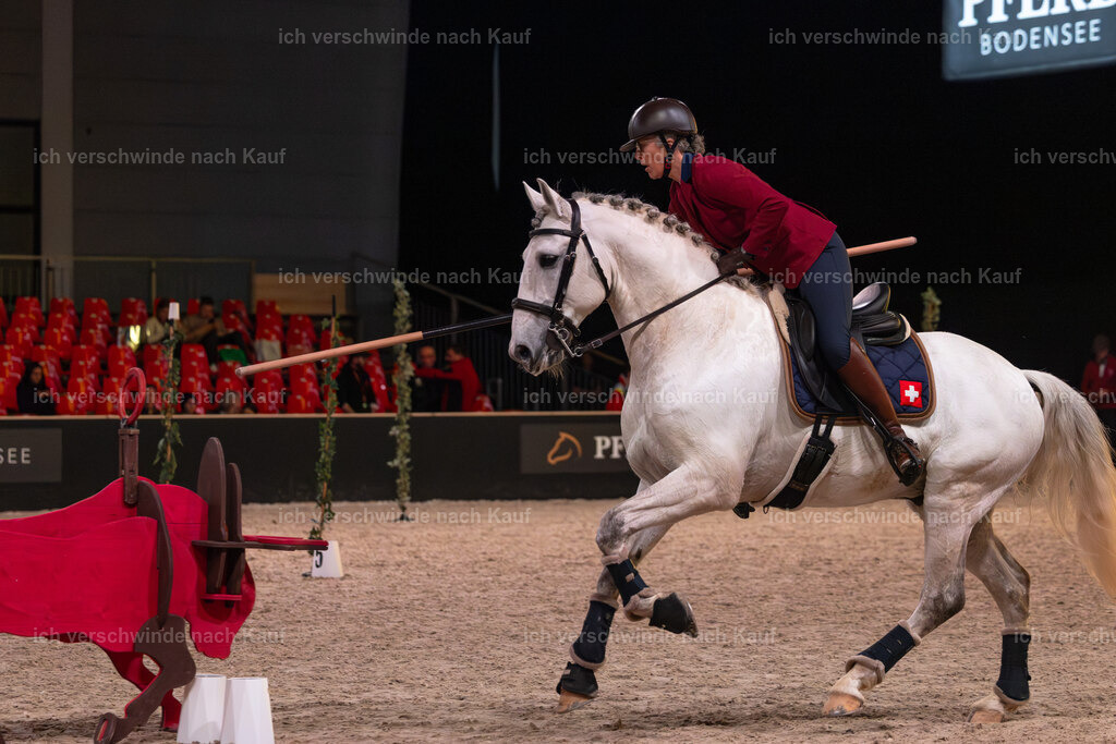 JoseraCup-175 | working equitationturnier fotograf videograf stoibphotography marixx film working equitation deutschland reitsport turnierfotografie eventfotografie equestrian events