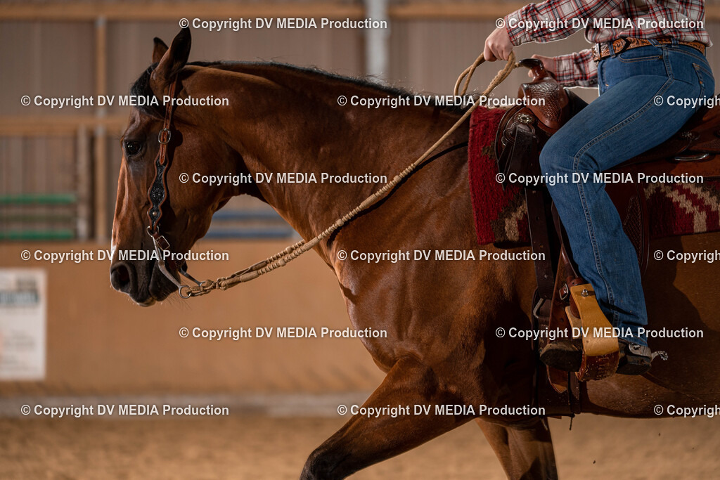 Losheim Tag 1-197 | dv-media-shop - Realisiert mit Pictrs.com