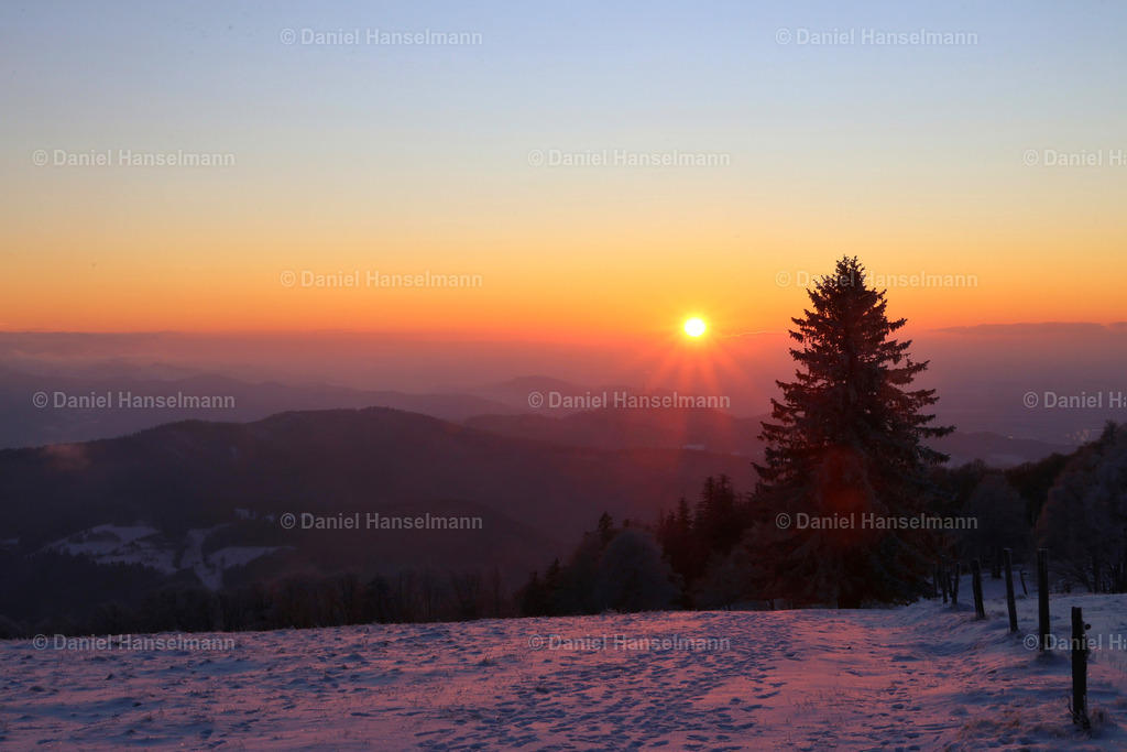 IMG_1462 | Hier finden Sie Poster, Leinwandfotos sowie viele weitere Fotoprodukte mit Motiven aus dem Schwarzwald, aus Freiburg und dem Kaiserstuhl zum Download und zum Bestellen.  - Realisiert mit Pictrs.com