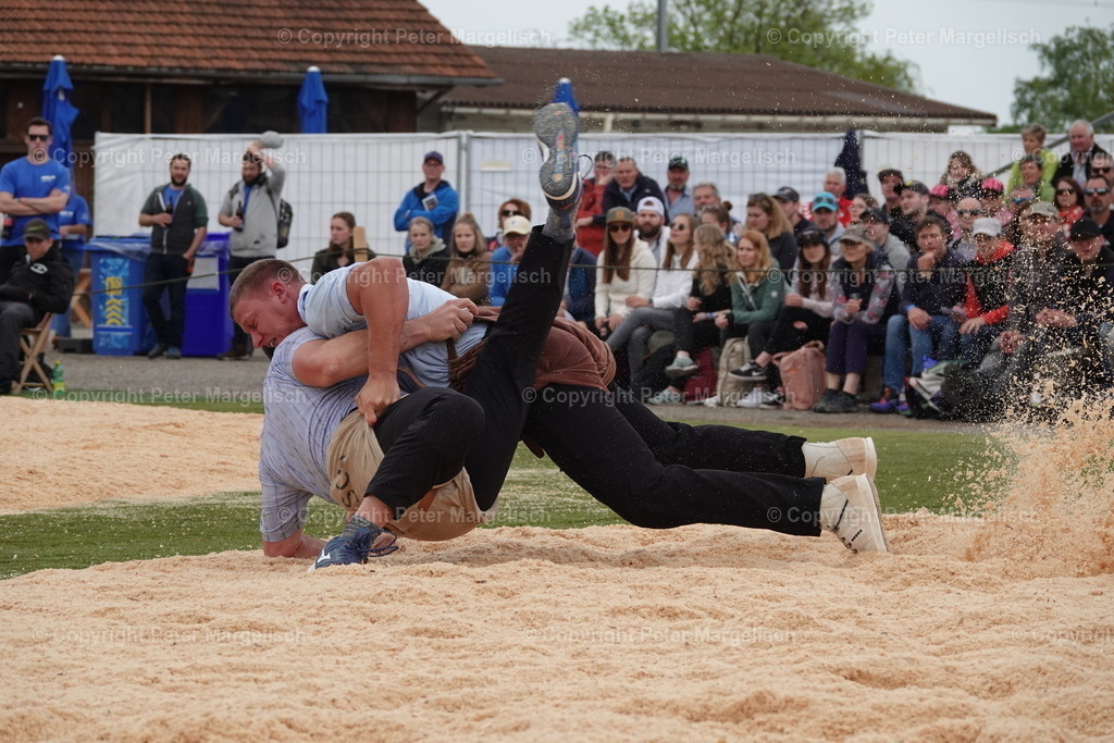 DSC03621 | Schwingen - Realisiert mit Pictrs.com