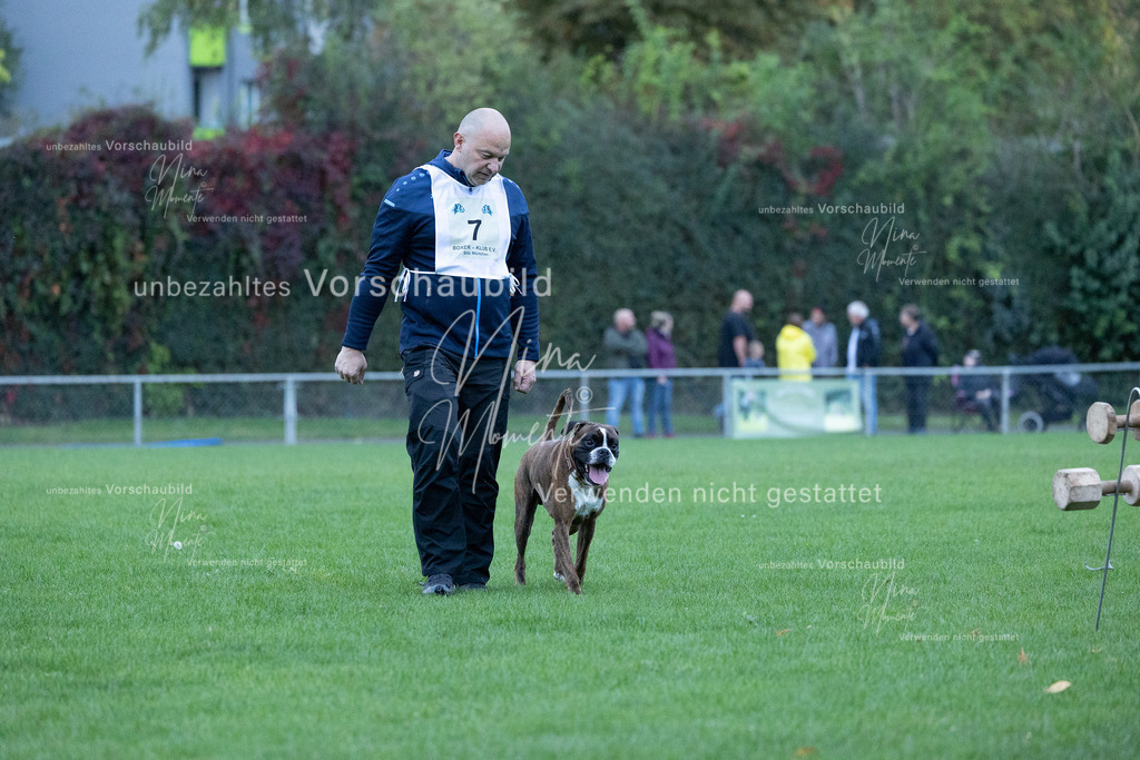 _16A4438 | Einzigartige Fotos von Hunden & Menschen –Actionfotos, Portraits, Vereinsaufnahmen & Paarshootings – authentisch, lebendig & mit Herz.