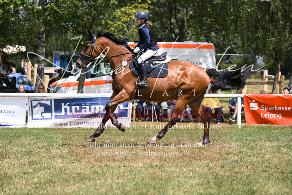 DSC_9324 | Pferde- und Turnierfotografie in Westsachsen. Pferdeportraits, Auftragszeichnungen und intuitive Kunst.