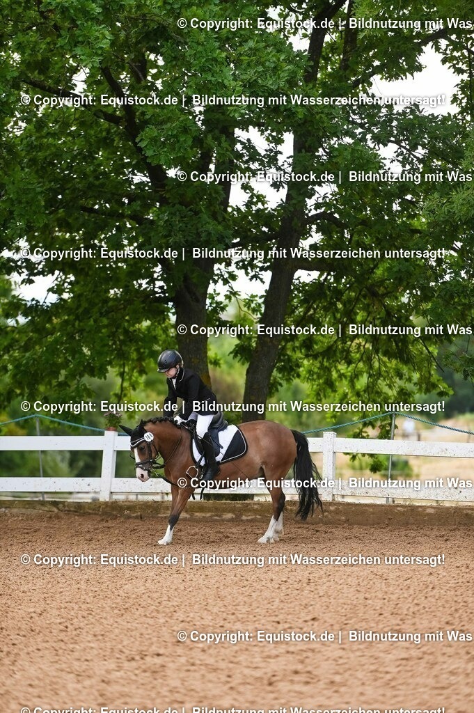 20230716_10-2_Reiter-WB Schritt - Trab - Galopp_0142 | equistock