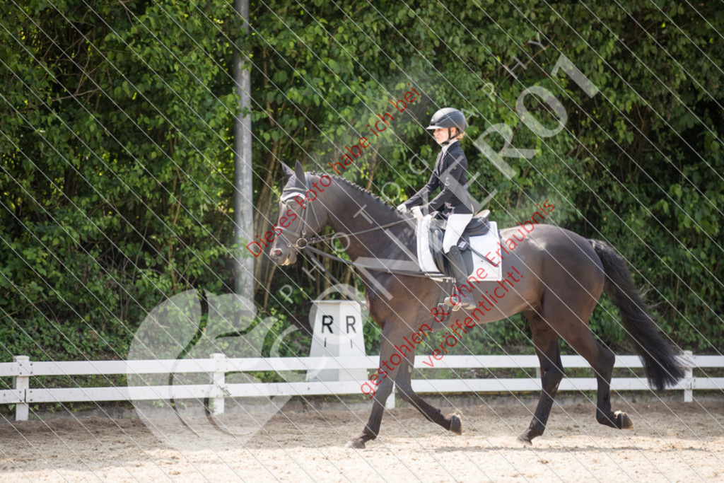 IMG_3756 | Sport-, Event- und Tierfotos in Profiqualität. Einfach auswählen, bestellen und herunterladen. Dein Moment – perfekt festgehalten.