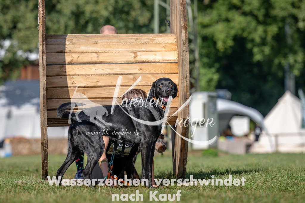 1021_ZZ92057 | kk-dogfotos