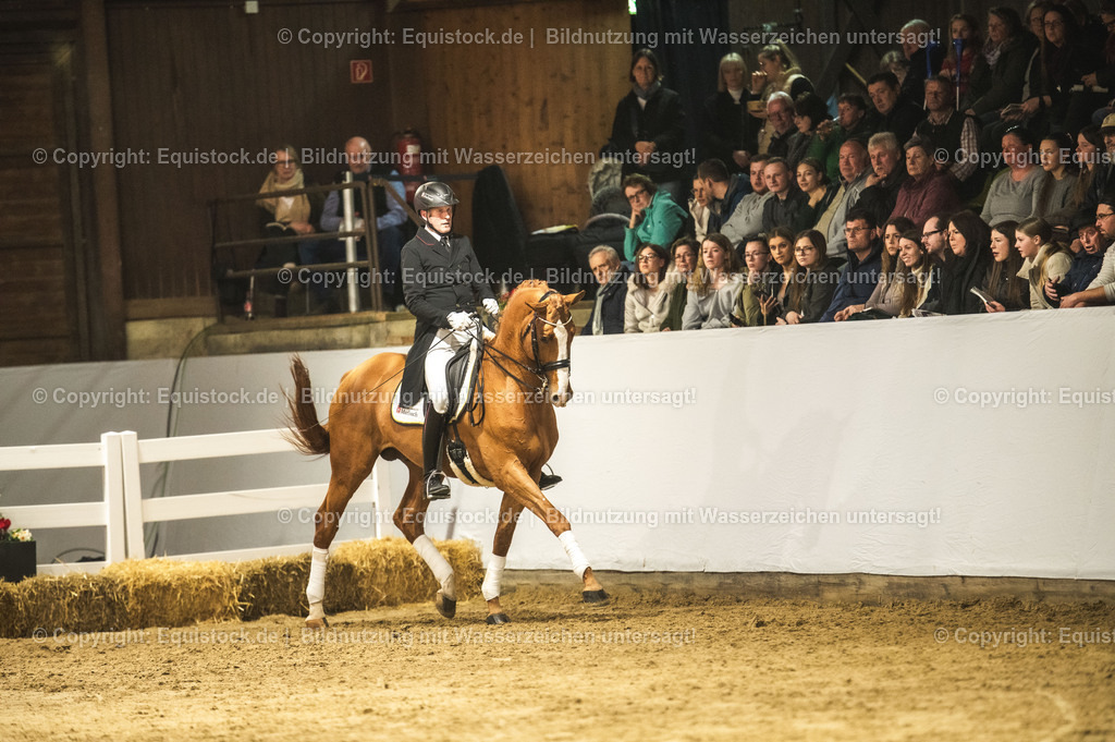 20240302_Hengstvorstellung_Marbach_TOMsPiC_0934 | equistock