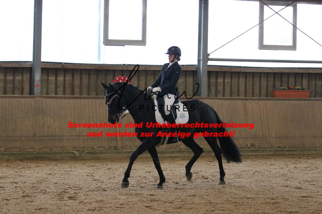 IMG_8847 | lmwpictures - Realisiert mit Pictrs.com