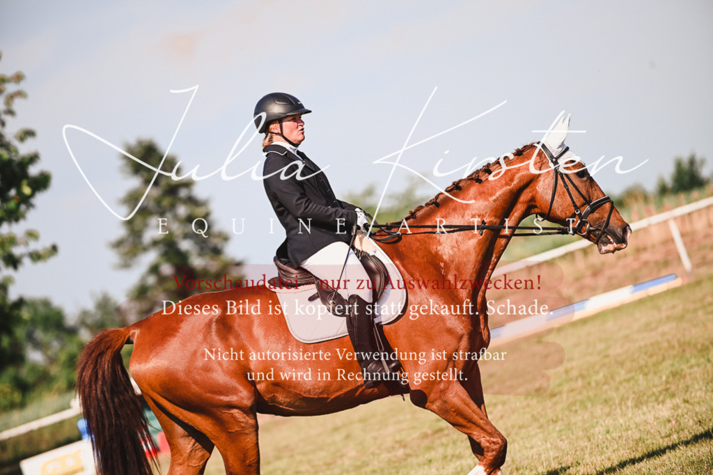 DSC_7346 | Pferde- und Turnierfotografie in Westsachsen. Pferdeportraits, Auftragszeichnungen und intuitive Kunst.