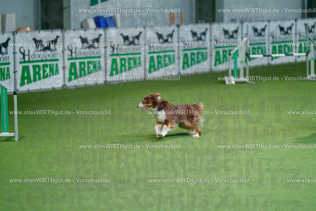 @allesWIRTHgut_Tierfotografie - www.allesWIRTHgut.de - 2604250811-7R505639 | Professionelle Tierfotografie in Mönchengladbach von Daniel Wirth (allesWIRTHgut). Liebevolle & natürliche Bilder von Hunden & Katzen für unvergessliche Erinnerungen.