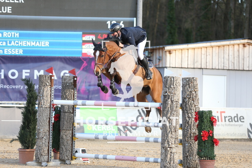 AS8V4018 | Willkommen bei Brunnmayr - Design & Fotografie – Ihrem Spezialisten für Reitturniere und Pferdeveranstaltungen in Oberösterreich, Salzburg und Bayern! Seit über 17 Jahren sind wir leidenschaftlich dabei.