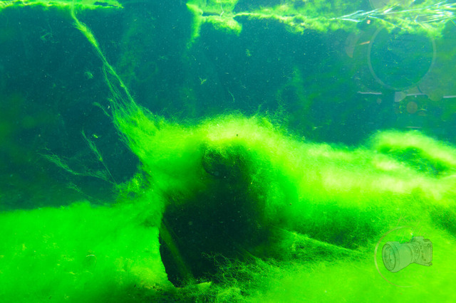 _DSC1357 | Shop für Prints Landschaftsfotografie Sächsische Schweiz Naturfotografie in Thüringen Fotos vom Findlingspark Nochten Kloster Sankt Marienstern Bilder Festung Königstein PanoramaRhododendronpark Kromlau FotogalerSchleswig-Holstein Küstenlandschaften