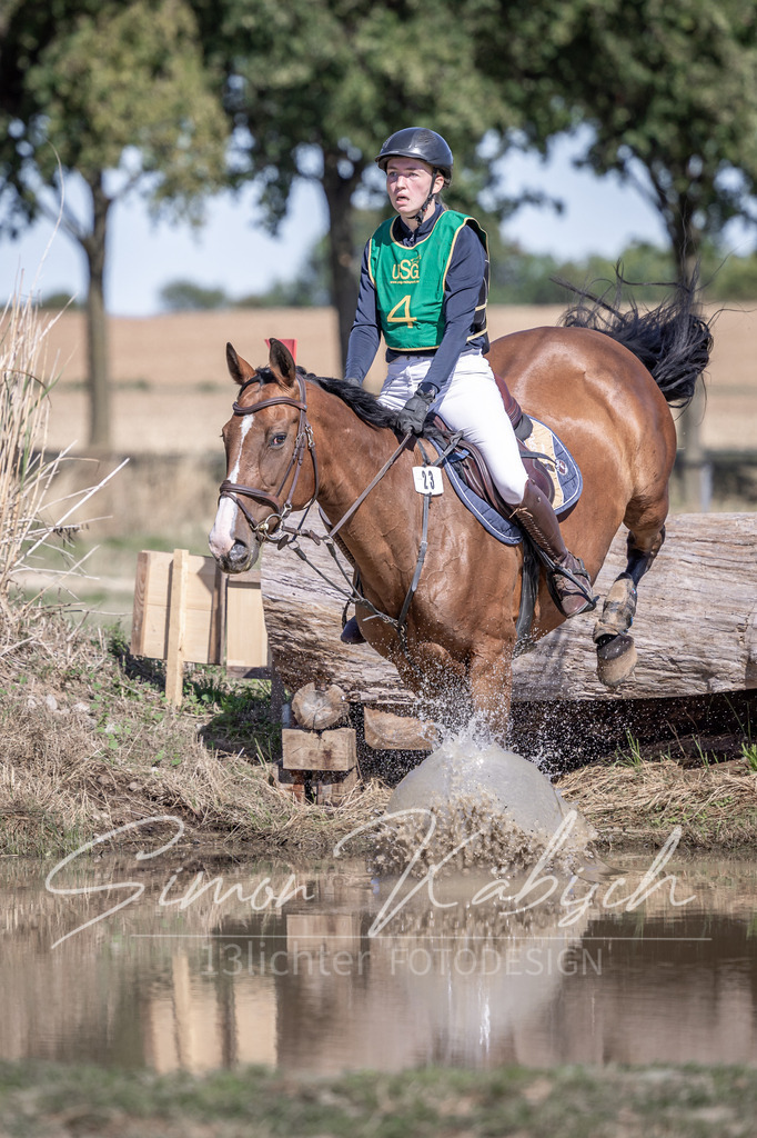 20260906-_3LI5175 | Tierfotografie Pferde, Hunde, Katzen, Haustiere.
Turnierfotografie Reitturniere, Reiten, Springreiten, Dressur in Hanau, dem Main-Kinzig-Kreis und dem Rhein-Main- Gebiet um Frankfurt