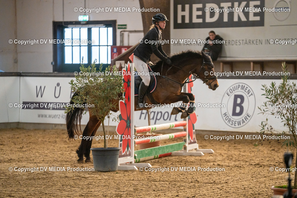 Kranichstein Tag 2-1087 | dv-media-shop - Realisiert mit Pictrs.com