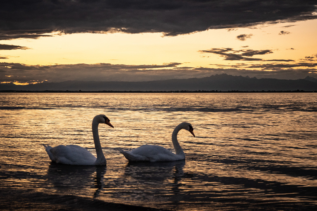 _DSC6560 | sebastiandoebroessy - Realisiert mit Pictrs.com