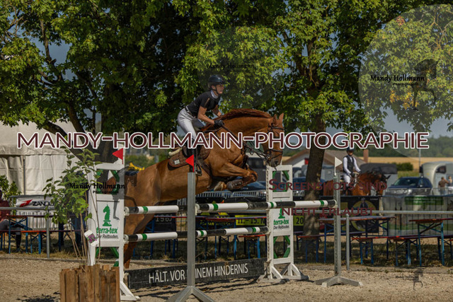 26-7-24 SPF M+-403 | mandyhollmannphotographie