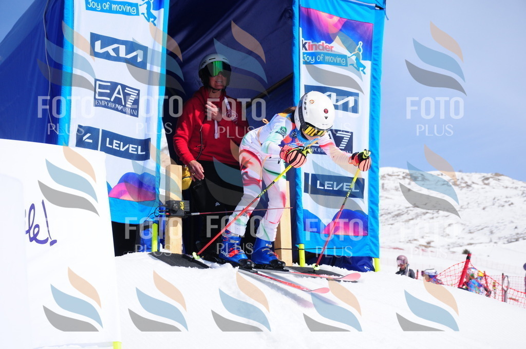 DSC_1224 | holidayphoto