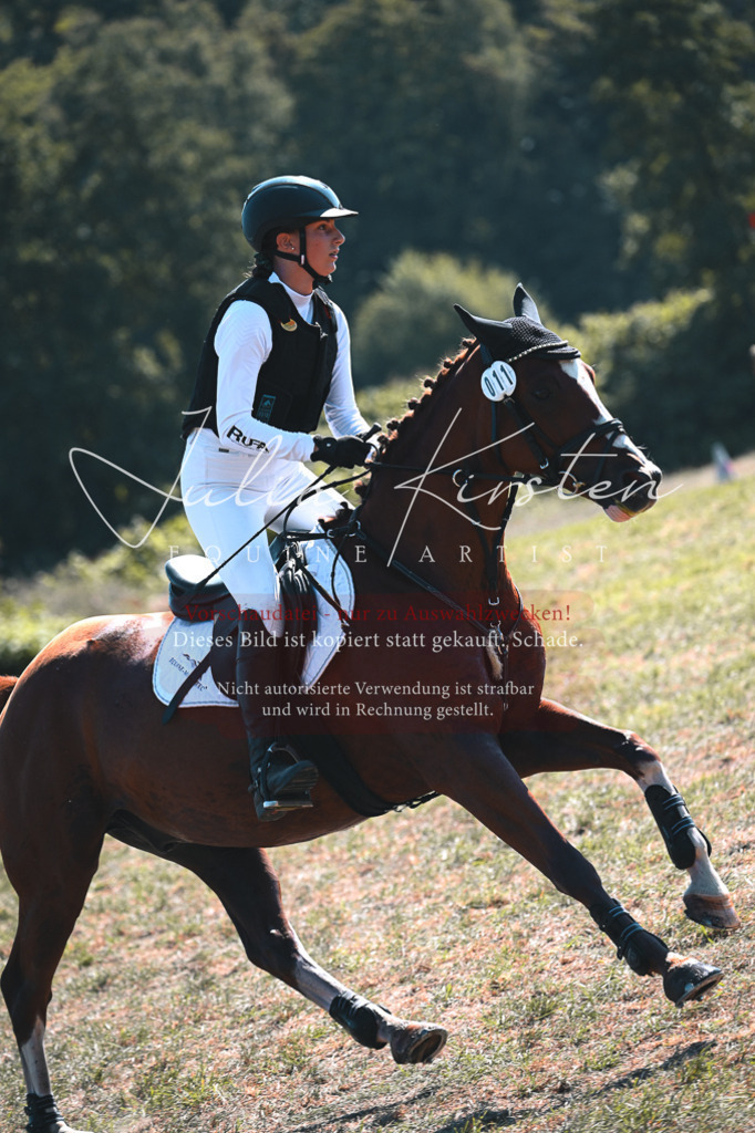 DSC_8187 | Pferde- und Turnierfotografie in Westsachsen. Pferdeportraits, Auftragszeichnungen und intuitive Kunst.
