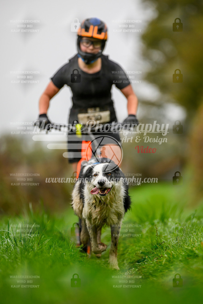 MompixPhotography_20TSB_E8_DS1-59 | PayLife