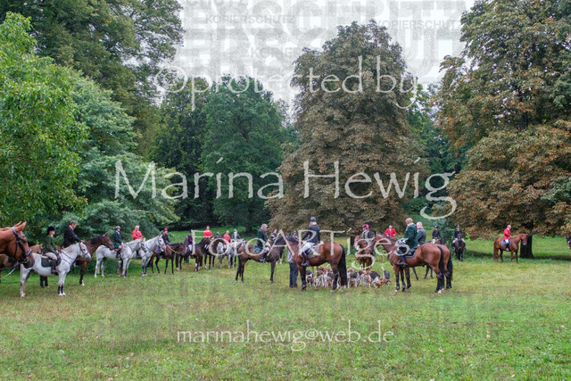 Jagd Perdoel_MarinaHewigDSCF3453 | Fotografie, FotoArt, PferdesportArt, Pferdesportfotografie, Landschaftsfotografie, Reisefotografie, Reise, Pferde - Realisiert mit Pictrs.com