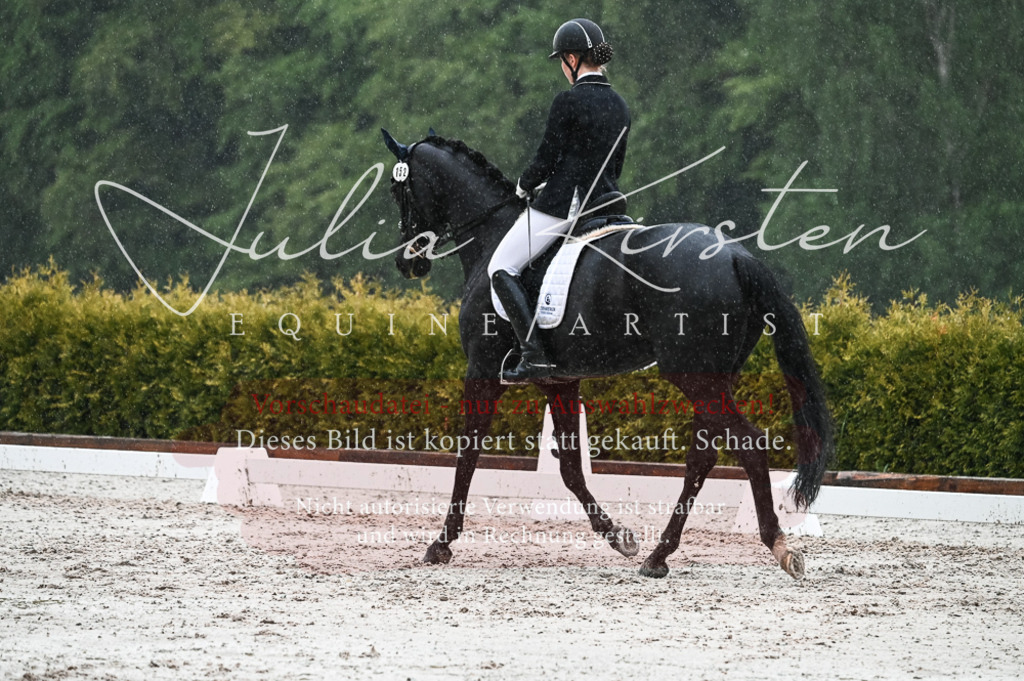 DSC_4723 | Pferde- und Turnierfotografie in Westsachsen. Pferdeportraits, Auftragszeichnungen und intuitive Kunst.