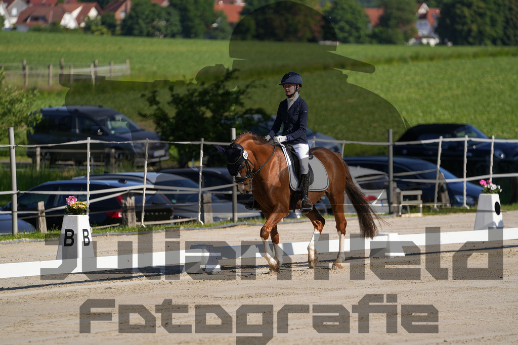 DSC02816 | Julian Held Fotografie - Realisiert mit Pictrs.com