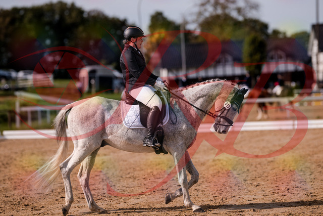 2026_10_03_Siefer-Hof_122811_Z81_26534794 | Professionelle Reitsport-, Turnier- und Eventfotografie von Robert Broda. Galerien mit ausgewählten und bearbeiteten Bildern direkt online ansehen und bestellen.