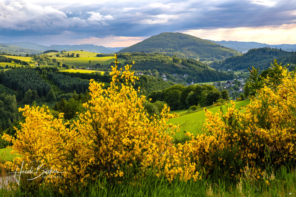 Westfeld und Umgebung 009 | Bilder und Impressionen zu jeder Jahreszeit aus dem Sauerland im Naturpark Sauerland-Rothaargebirge - Realisiert mit Pictrs.com