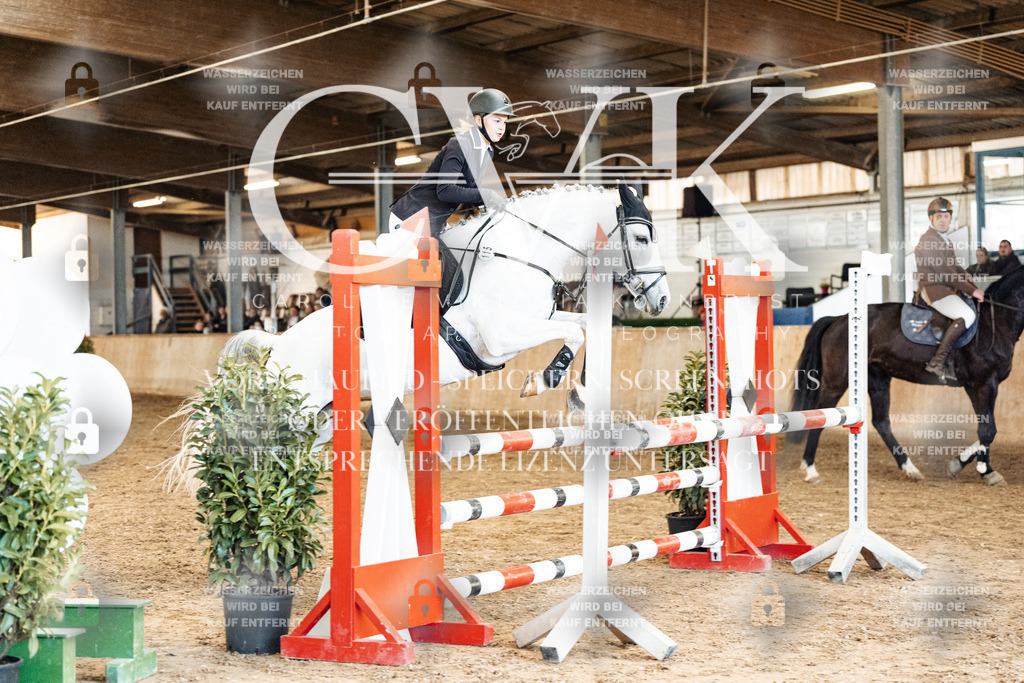 CK905298 | Turnierfotografie Pferdefotografie Trier Rheinland-Pfalz Pferdesport Reitsport Tierfotografie Sportfotografie Pferdevideo Pferdevideografie Equestrianvideography equestrianphotography  - Realisiert mit Pictrs.com