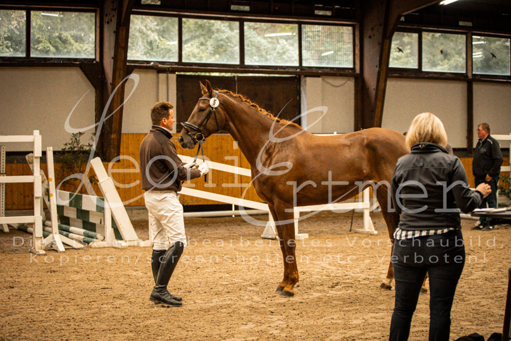 1FS_L00074 | Leoni Ertmer Photography - Realisiert mit Pictrs.com