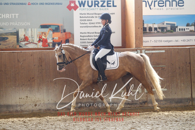 DKP45352 | Turniersportfotografie; Pferdefotografie; Dressurfotografie