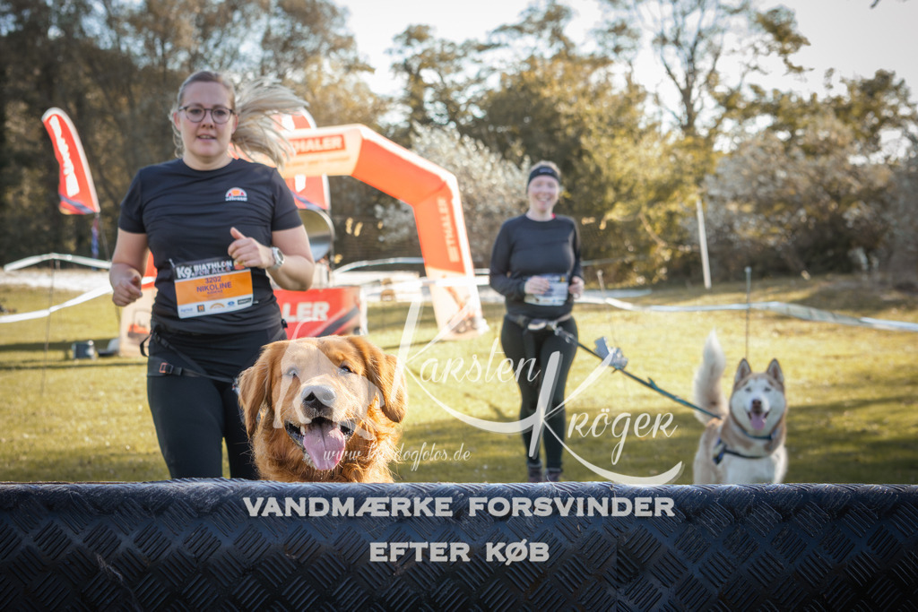 1229_ZZ96580-2 | kk-dogfotos