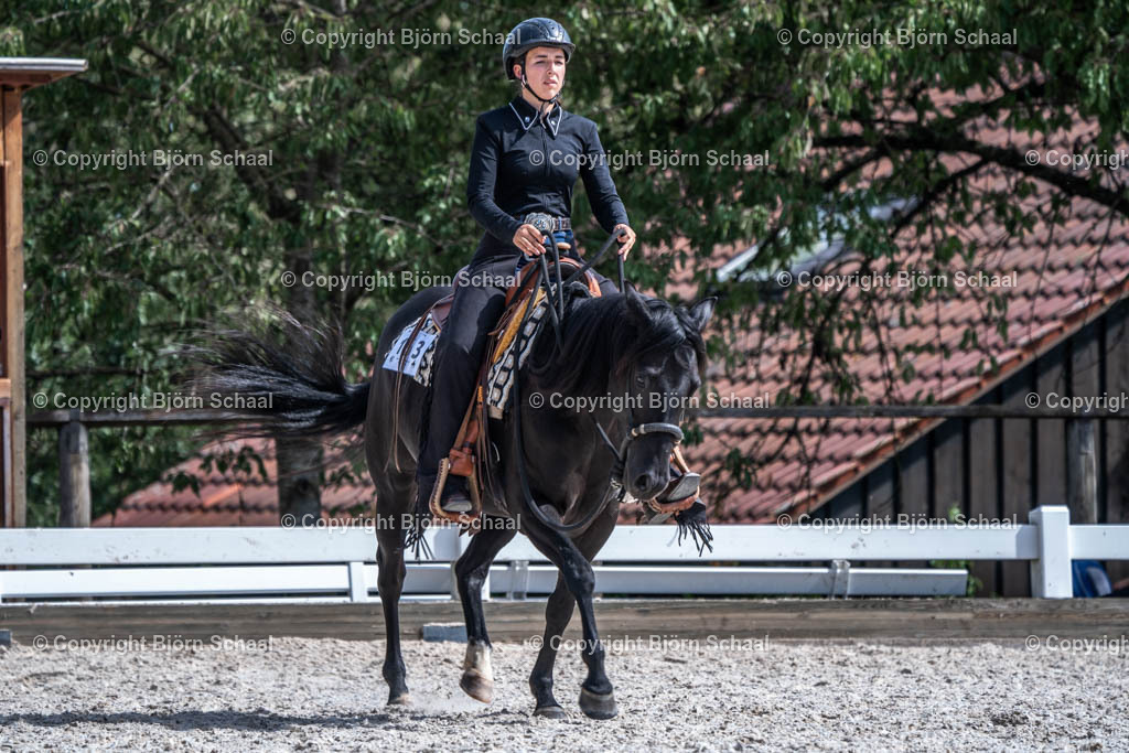 HOB00943 | BS-foto