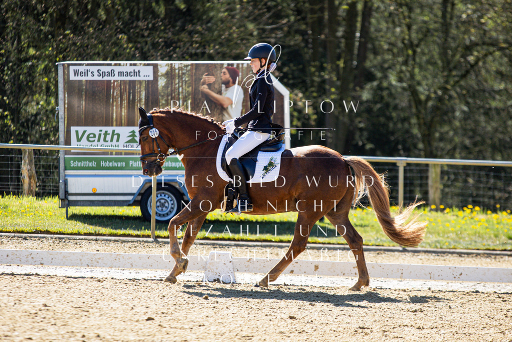 IMGT0142 | pl-fotografie