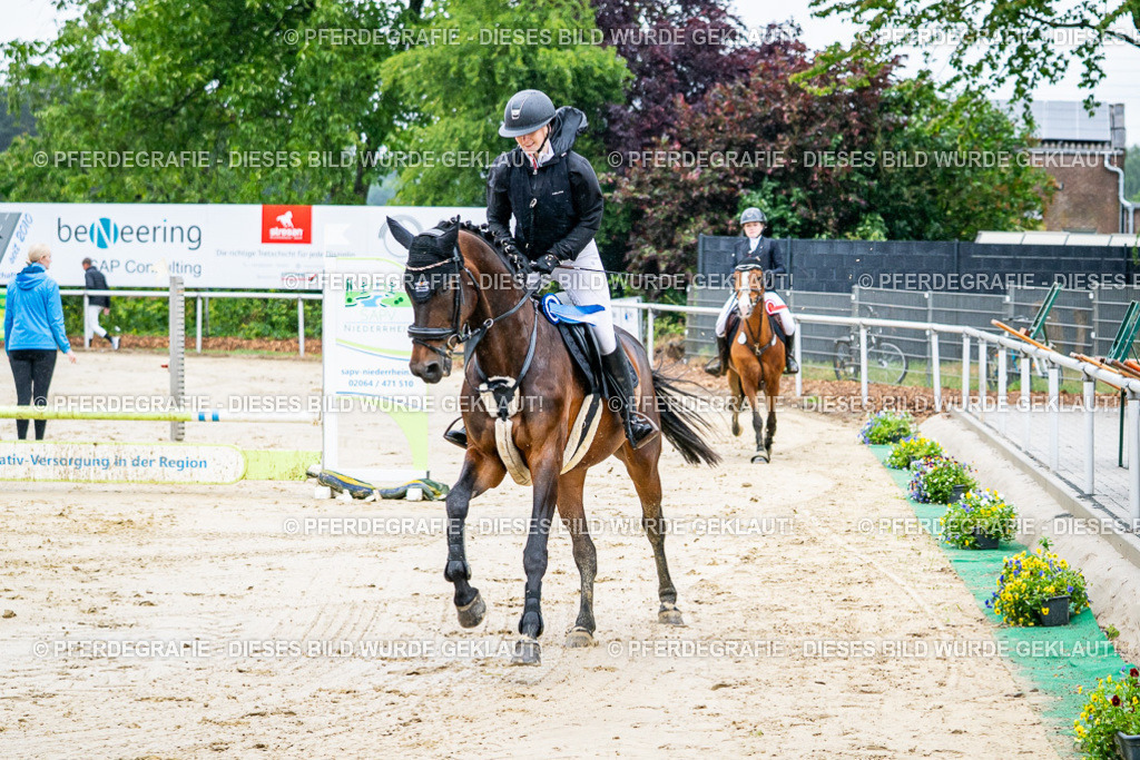 DSC03363 | Pferdegrafie