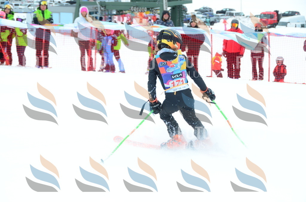 DSC_1614 | holidayphoto