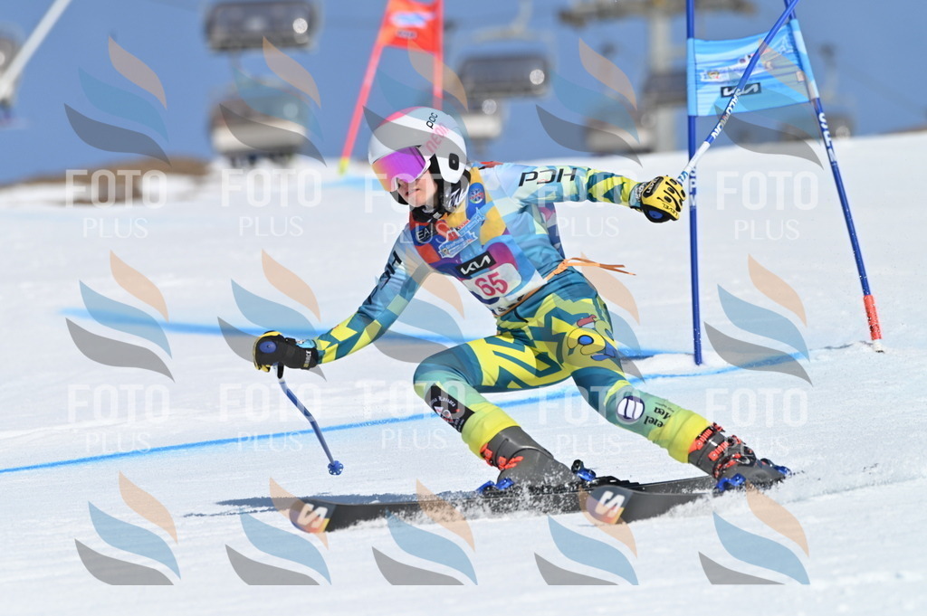 BGV_8831 | holidayphoto