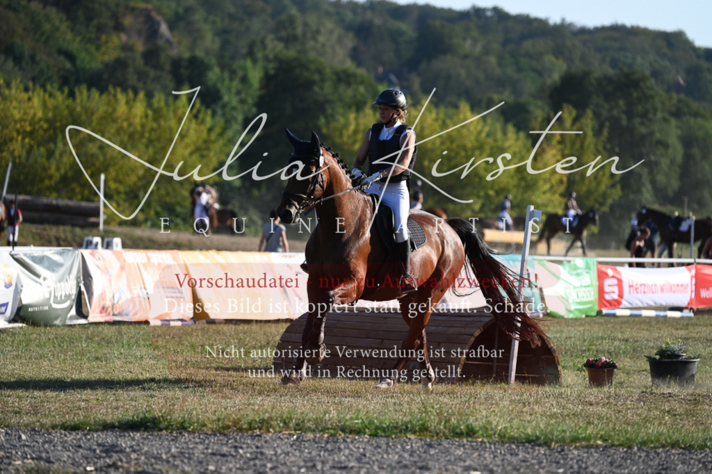 DSC_9113 | Pferde- und Turnierfotografie in Westsachsen. Pferdeportraits, Auftragszeichnungen und intuitive Kunst.
