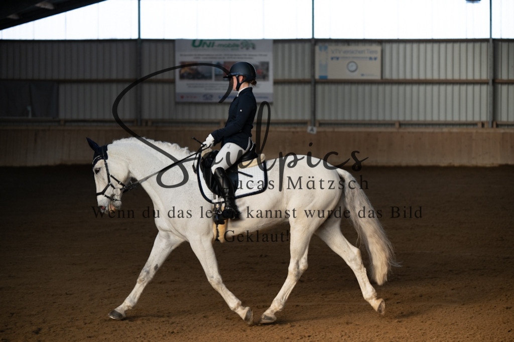 A7V05702 | Pferdefotograf