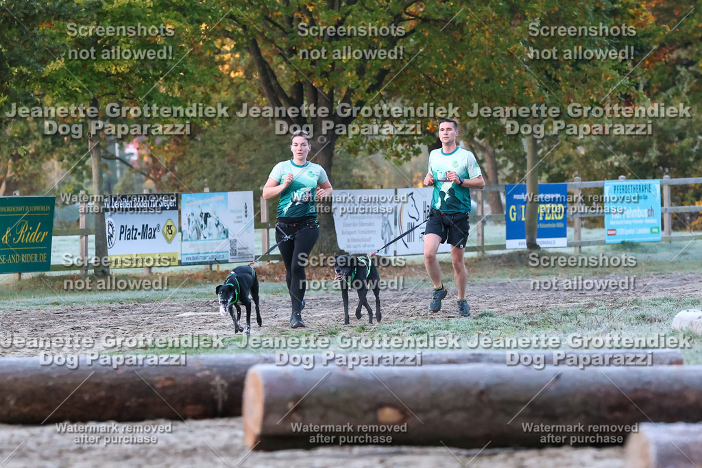 Dog Paparazzi - Strongdog 10-25-124 | Dog Paparazzi Jeanette Grottendiek Fotografie & Videografie - Realisiert mit Pictrs.com