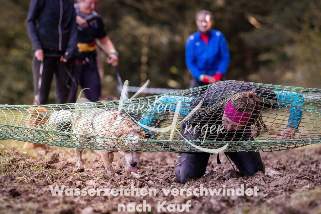1243_ZZ90750 | kk-dogfotos