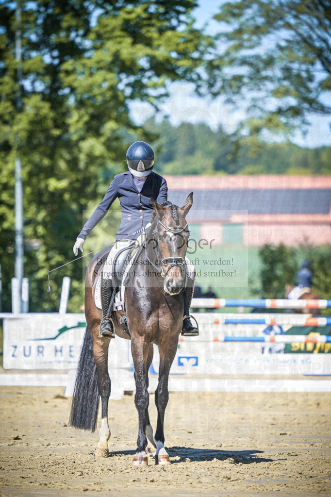 DOS_5722 | Entdecke hochwertige Reitturnierfotos von Foto Oger. Professionell, emotional und authentisch – jetzt Lieblingsmomente im Shop bestellen.Deutschlandweite Turnierfotografie. - Realisiert mit Pictrs.com