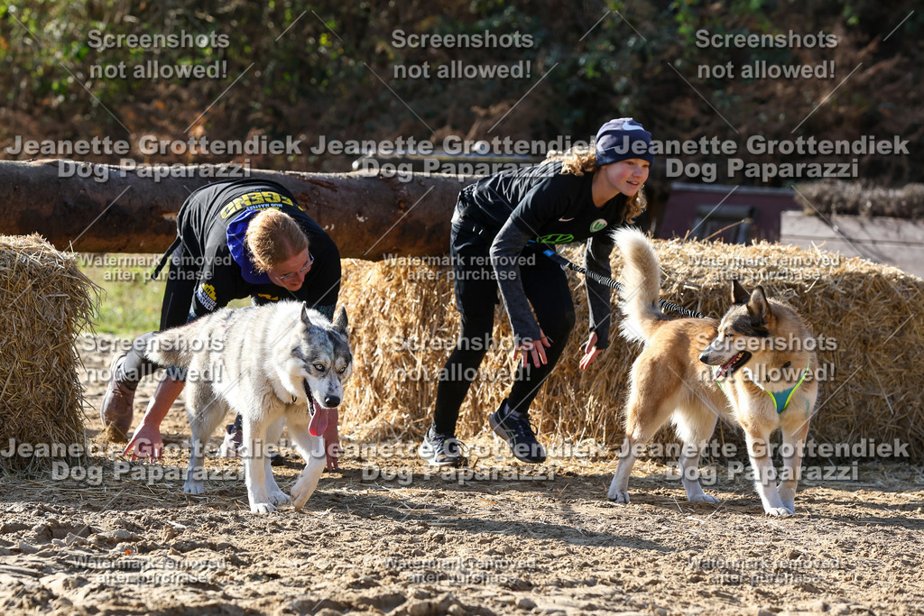 Dog Paparazzi - Strongdog 10-25-6004 | Dog Paparazzi Jeanette Grottendiek Fotografie & Videografie - Realisiert mit Pictrs.com