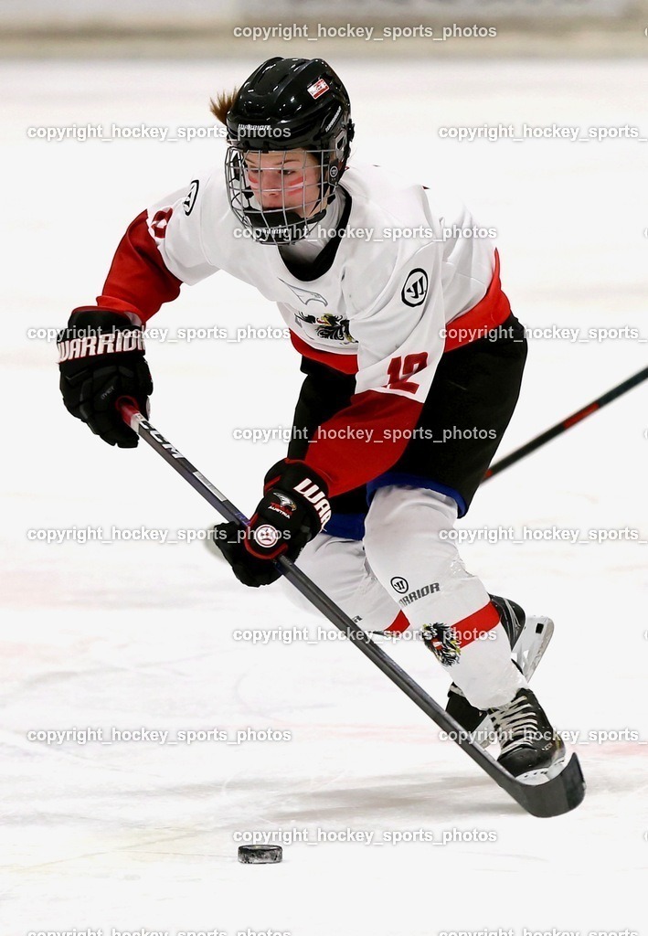 MOWE3951 | hockey sports photos, Pressefotos, Sportfotos, hockey247, win 2day icehockeyleague, Handball Austria, Floorball Austria, ÖVV, Kärntner Eishockeyverband, KEHV, KFV, Kärntner Fussballverband, Österreichischer Volleyballverband, Alps Hockey League, ÖFB, 